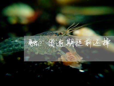 融e借逾期提前还掉 融e借逾期提前还掉