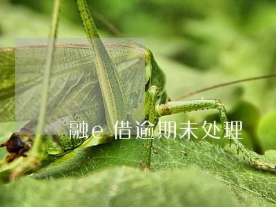 融e借逾期未处理 融e借逾期未处理