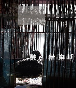 融e借逾期能办信用卡吗 融e借逾期能办信用卡吗