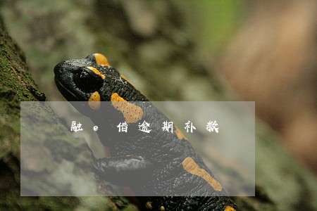 融e借逾期补救