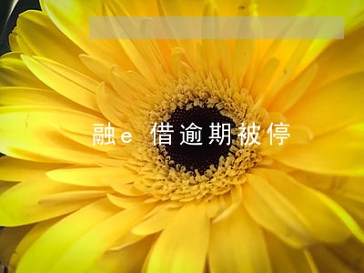 融e借逾期被停 融e借逾期被停
