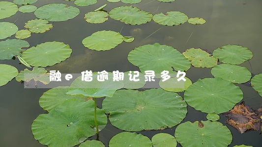 融e借逾期记录多久 融e借逾期记录多久