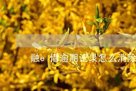 融e借逾期记录怎么消除