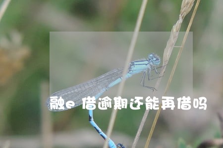 融e借逾期还能再借吗 融e借逾期还能再借吗