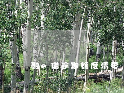 融e借逾期额度清零 融e借逾期额度清零