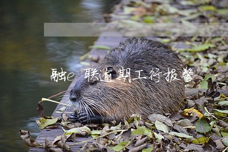 融e联逾期工行报警 融e联逾期工行报警