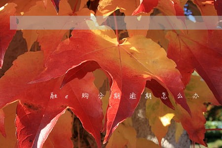 融e购分期逾期怎么办 融e购分期逾期怎么办