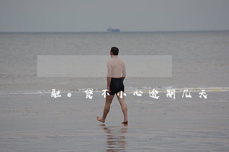 融e贷不小心逾期几天 融e贷不小心逾期几天
