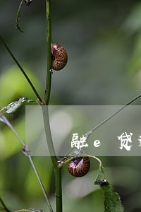 融e贷逾期4个月被追索 融e贷逾期4个月被追索