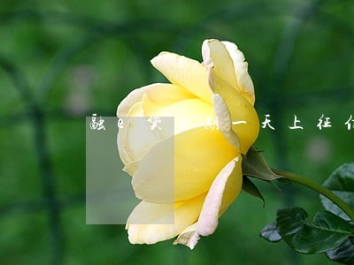融e贷逾期一天上征信吗 融e贷逾期一天上征信吗