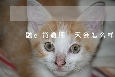 融e贷逾期一天会怎么样 融e贷逾期一天会怎么样