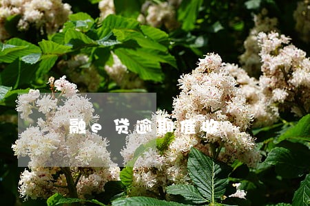 融e贷逾期催收