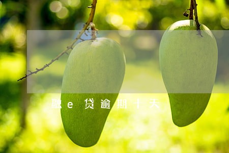 融e贷逾期十天 融e贷逾期十天