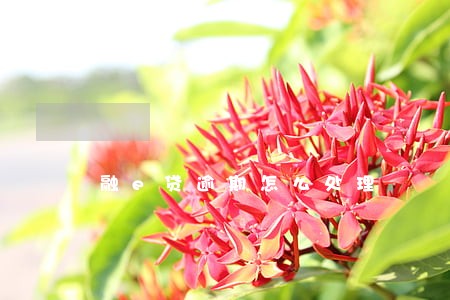 融e贷逾期怎么处理 融e贷逾期怎么处理