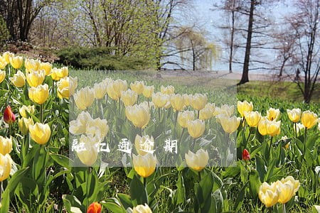融亿通逾期