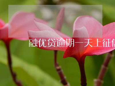 融优贷逾期一天上征信吗 融优贷逾期一天上征信吗