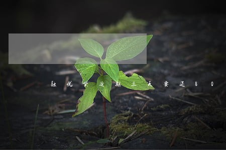 融优贷逾期三天要还800利息 融优贷逾期三天要还800利息