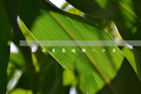 融信普惠逾期一个月 融信普惠逾期一个月