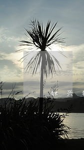 融兴钱包没逾期就催收