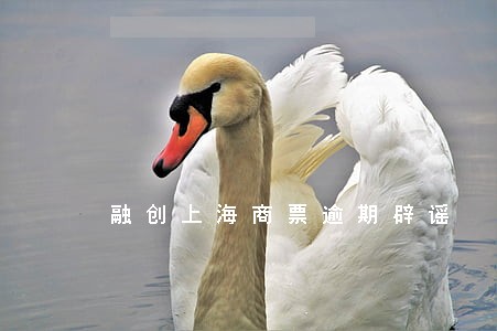 融创上海商票逾期辟谣 融创上海商票逾期辟谣