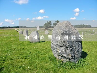 融创商票逾期武汉 融创商票逾期武汉