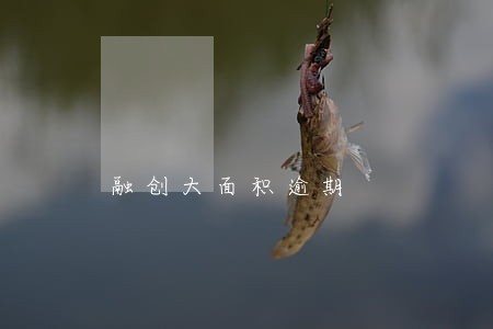 融创大面积逾期 融创大面积逾期