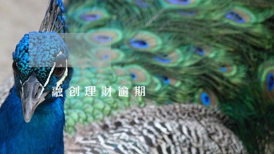 融创理财逾期 融创理财逾期