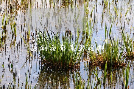 融创西南商票逾期 融创西南商票逾期