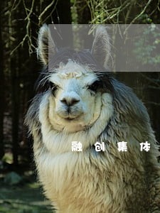 融创集体诉讼 融创集体诉讼