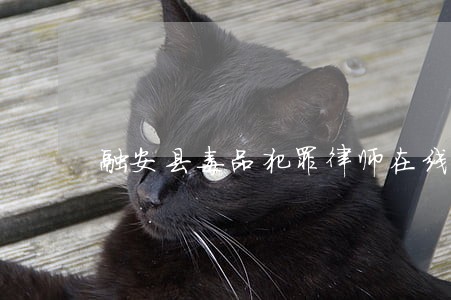 融安县毒品犯罪律师在线免费咨询 融安县毒品犯罪律师在线免费咨询
