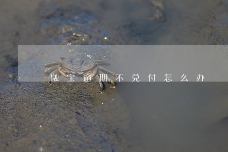 融宝逾期不兑付怎么办 融宝逾期不兑付怎么办