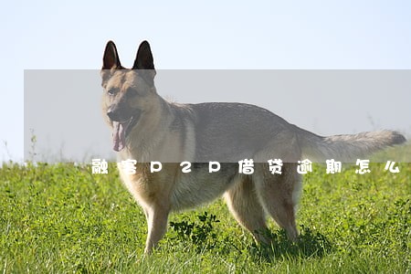 融客P2P借贷逾期怎么处理