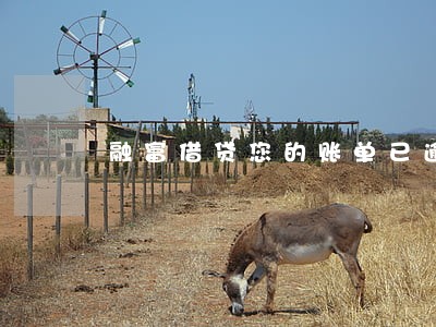融富借贷您的账单已逾期