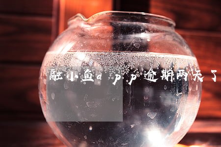 融小鱼app逾期两天了 融小鱼app逾期两天了