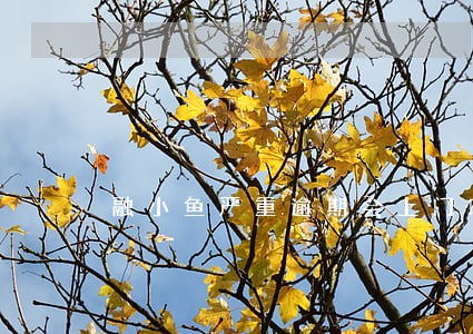融小鱼严重逾期会上门吗 融小鱼严重逾期会上门吗