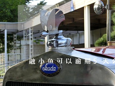 融小鱼可以逾期5天么 融小鱼可以逾期5天么