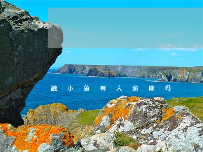 融小鱼有人逾期吗 融小鱼有人逾期吗