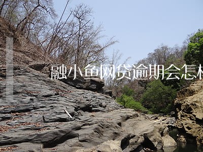 融小鱼网贷逾期会怎样 融小鱼网贷逾期会怎样
