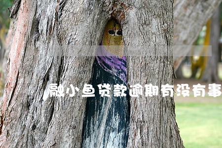 融小鱼贷款逾期有没有事 融小鱼贷款逾期有没有事