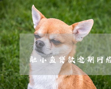 融小鱼贷款逾期网络仲裁严重性 融小鱼贷款逾期网络仲裁严重性