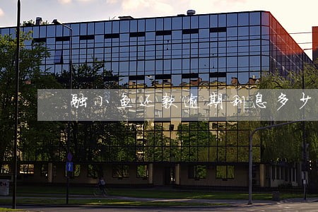 融小鱼还款逾期利息多少钱 融小鱼还款逾期利息多少钱