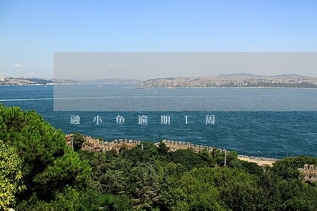 融小鱼逾期1周 融小鱼逾期1周