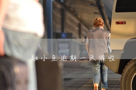 融小鱼逾期一天催收 融小鱼逾期一天催收
