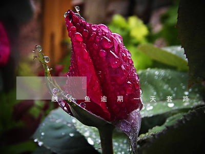 融小鱼逾期一天套路 融小鱼逾期一天套路