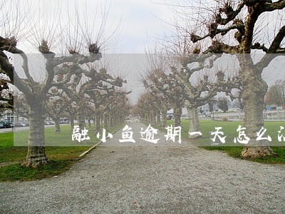 融小鱼逾期一天怎么没打电话 融小鱼逾期一天怎么没打电话