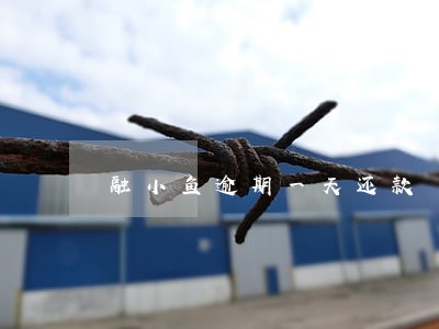 融小鱼逾期一天还款 融小鱼逾期一天还款