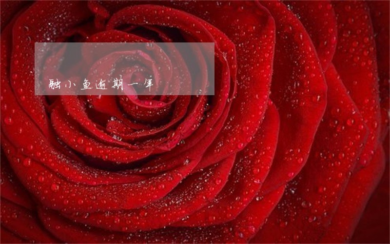 融小鱼逾期一年 融小鱼逾期一年
