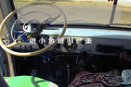 融小鱼逾期严重 融小鱼逾期严重