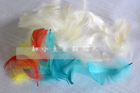 融小鱼逾期几天 融小鱼逾期几天