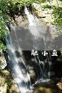 融小鱼逾期利息 融小鱼逾期利息